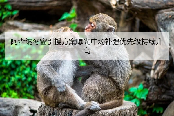 阿森纳冬窗引援方案曝光中场补强优先级持续升高